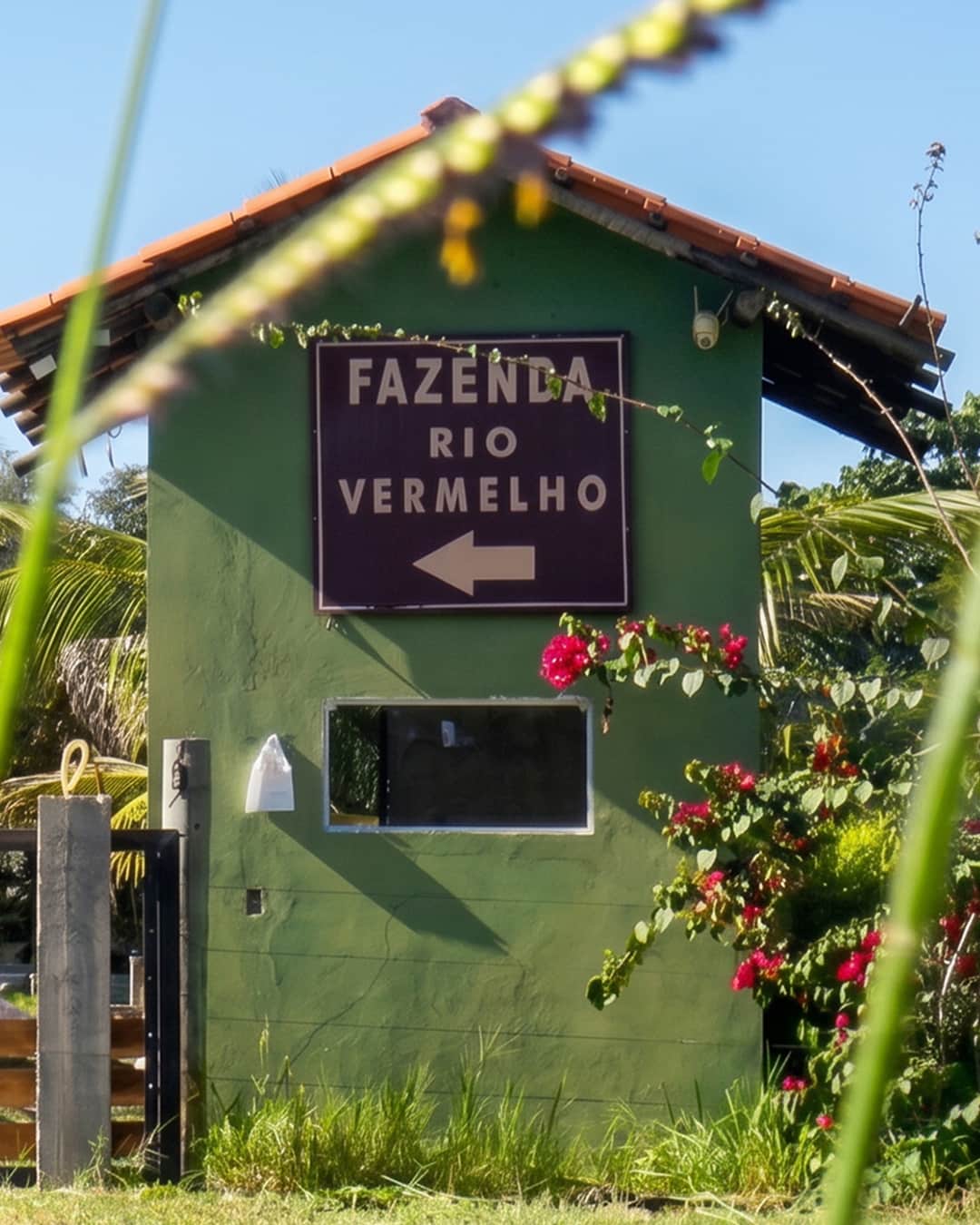 Experiência na Fazenda Rio Vermelho