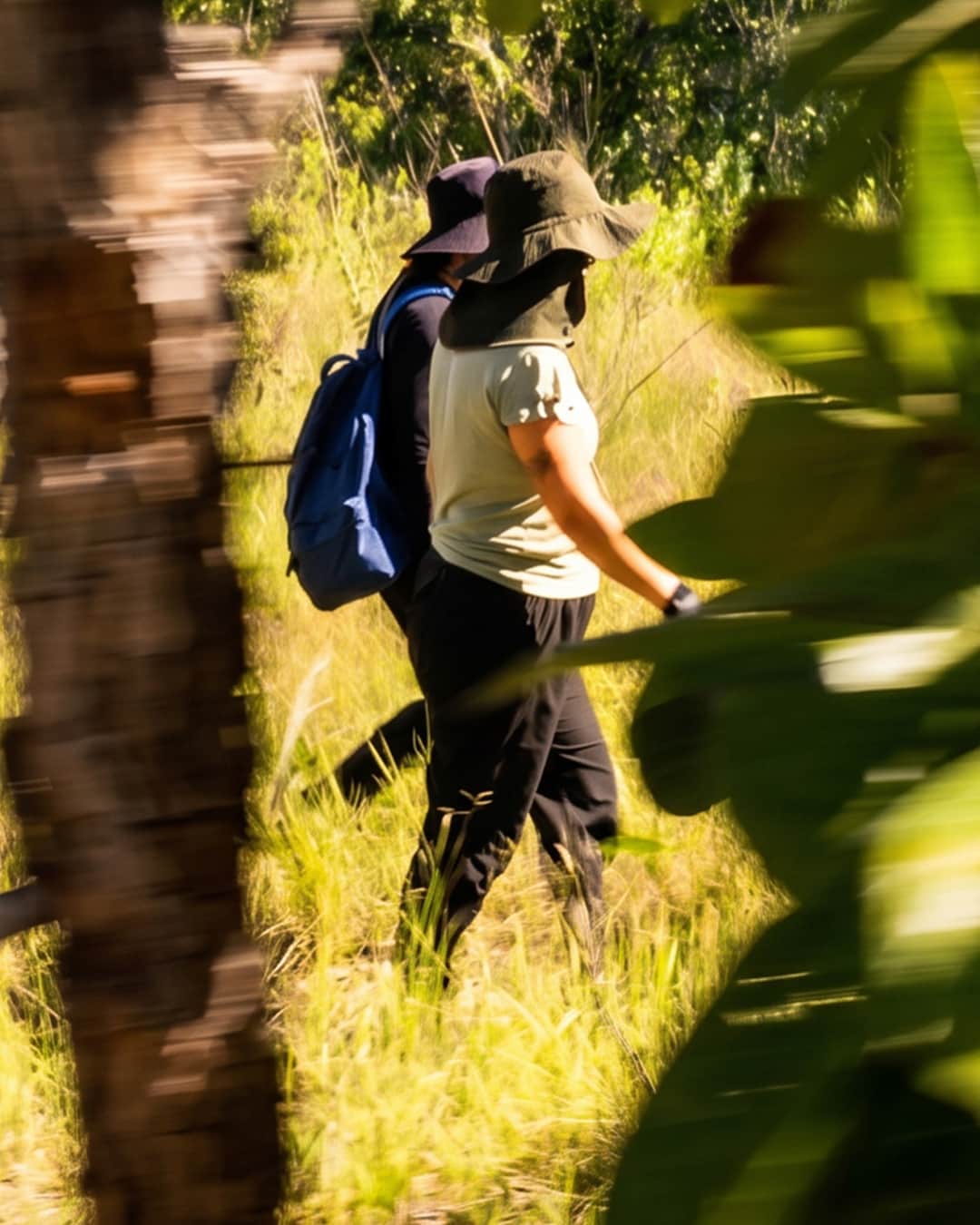 Experiência na Fazenda Rio Vermelho